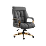 صندلی کارشناسیK900P